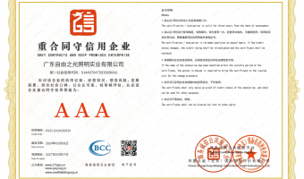 荣誉资质-洗墙灯_大功率洗墙灯_洗墙灯厂家-广东自由之光照明实业有限公司-重合同守信用企业