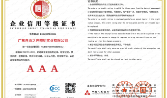 荣誉资质-洗墙灯_大功率洗墙灯_洗墙灯厂家-广东自由之光照明实业有限公司-企业信用等级证书